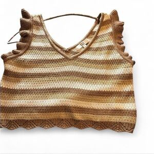 Striped Brown Crop Top